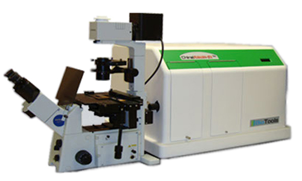 chiralIRRAMAN-2X